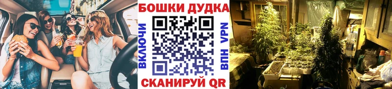 Виды наркотиков купить Оренбург Кокаин  Мефедрон  Конопля 