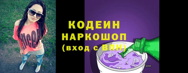 индика Кодинск
