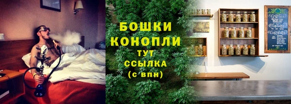 индика Кодинск