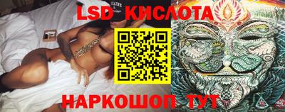ПСИЛОЦИБИНОВЫЕ ГРИБЫ Заволжье