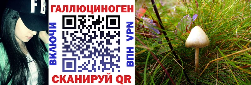 Псилоцибиновые грибы прущие грибы  кракен ссылки  Оренбург 