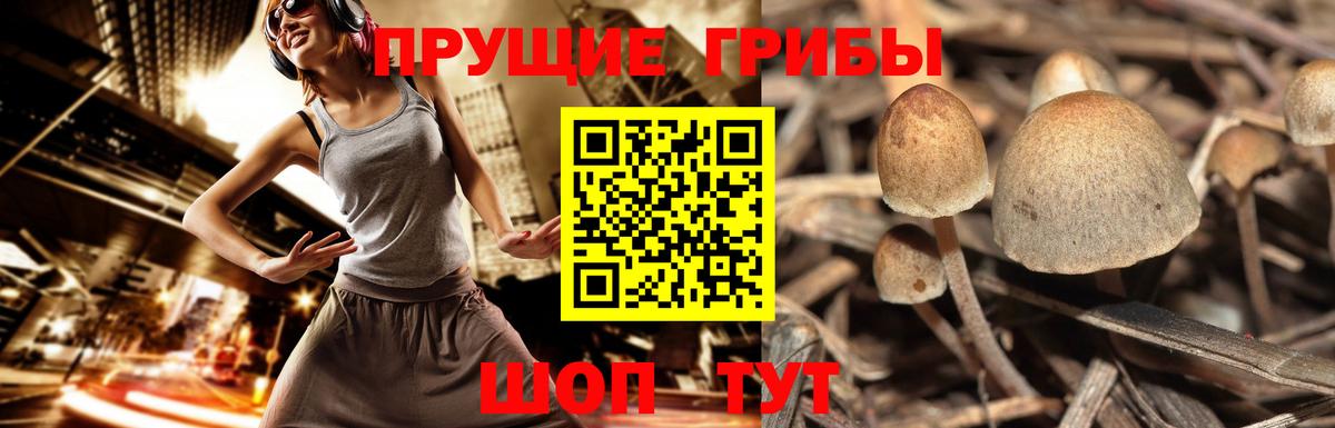 Галлюциногенные грибы GOLDEN TEACHER Оренбург