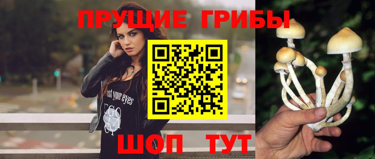Псилоцибиновые грибы GOLDEN TEACHER  Вход с VPN  наркота  Оренбург 