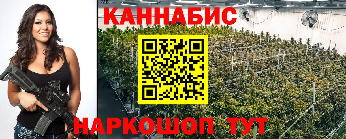 Каннабис сатива  Вход с VPN  Оренбург  Каннабис семена  Бошки Шишки тримм 